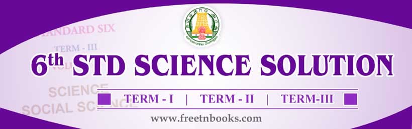 6th-standard-science-solution-in-english-2023-2024-6th-guide